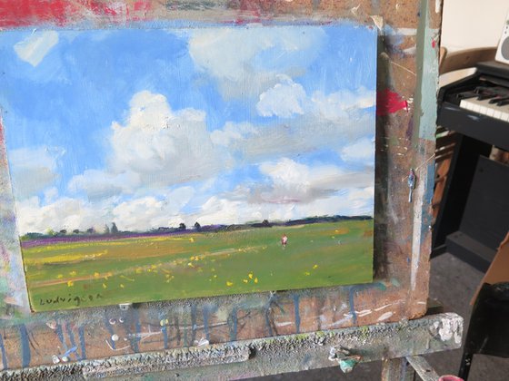 Summer Meadow