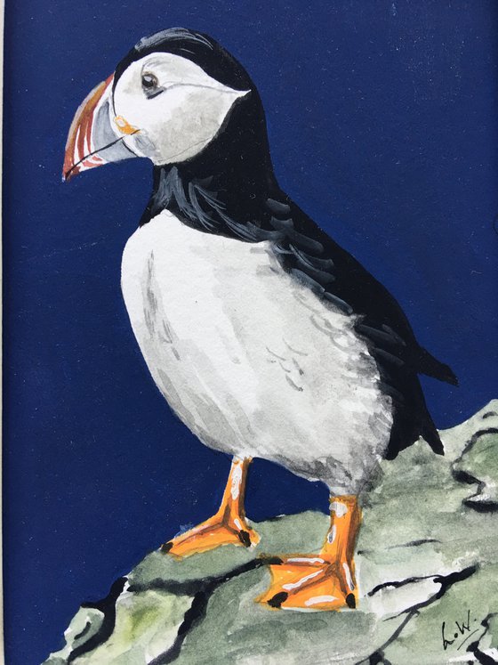 Clifftop Puffin