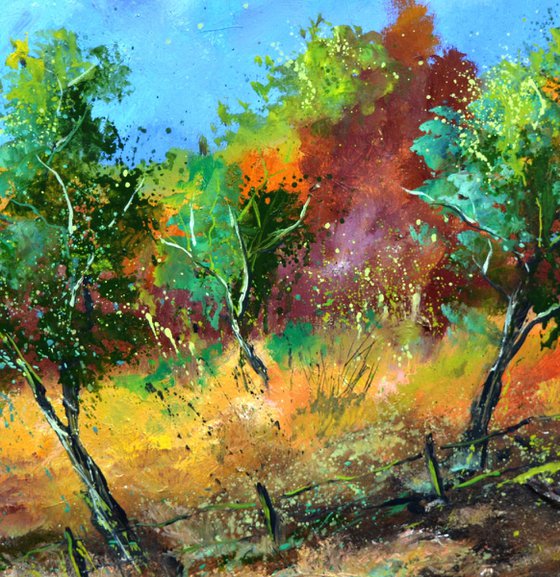 Orchard  in autumn - 7723