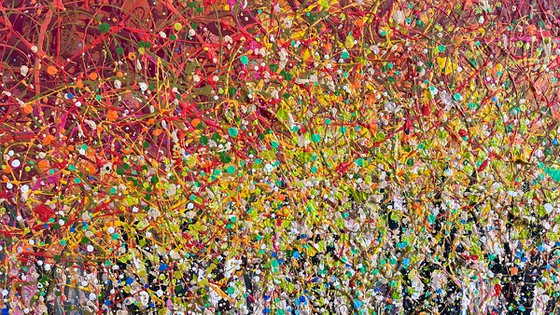 The Forest’s Gentle Song