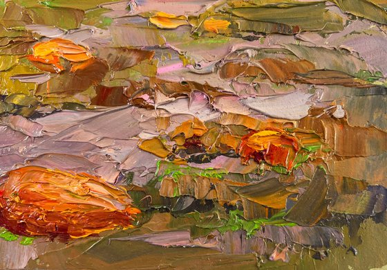 Autumn has Come to the Pumpkin Field