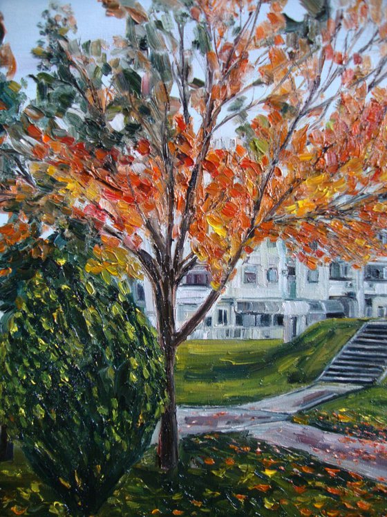 Orange autumn