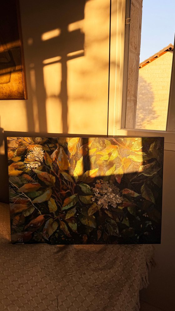 Between Summer and Fall