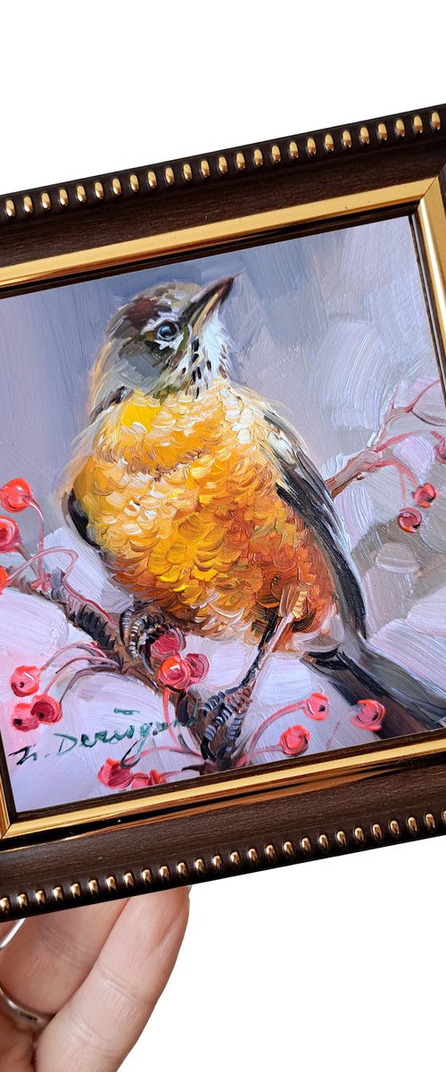 American robin by Nataly Derevyanko