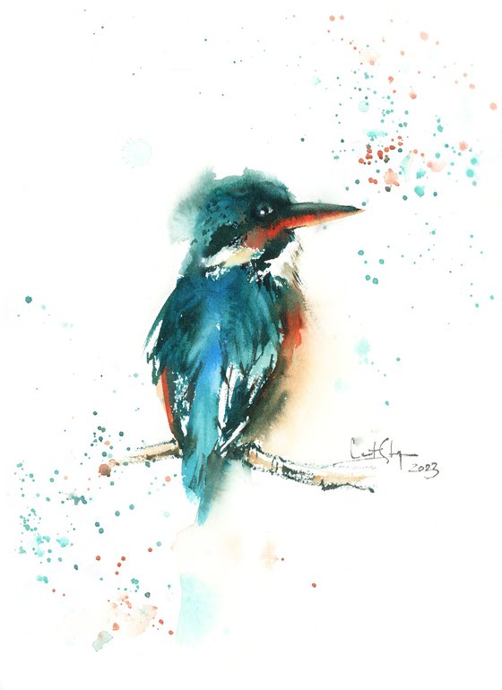 Kingfisher