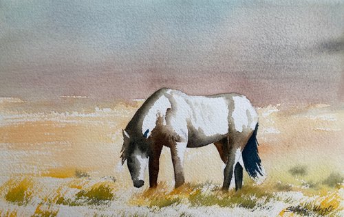 Lonely Pony by Silvie Wright