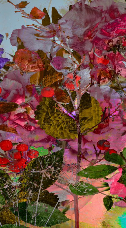 Flowerpower freedom by Geert Lemmers FPA