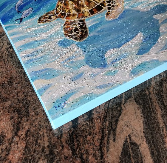 Sea turtle