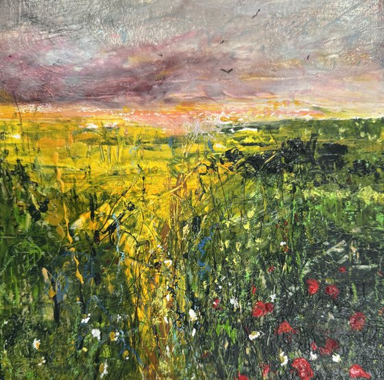 Wildflower meadow framed