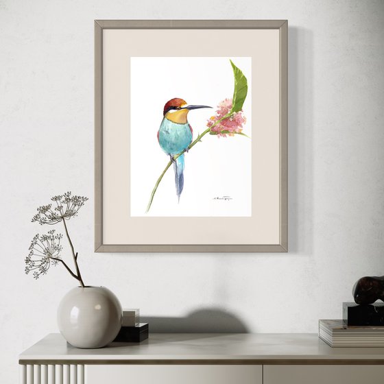 Bee-Eater
