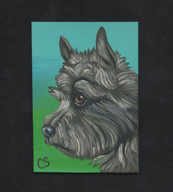 ACEO ATC Original Painting Cairn Terrier Pet Dog Art-Carla Smale