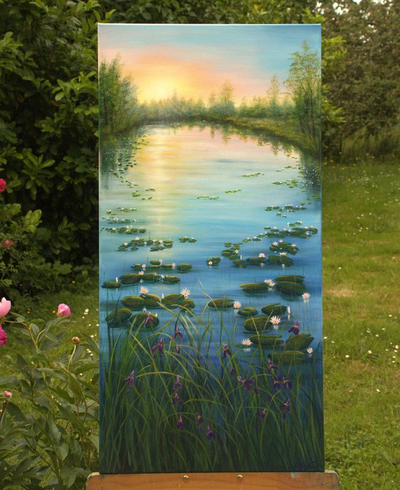 Serene lily pond