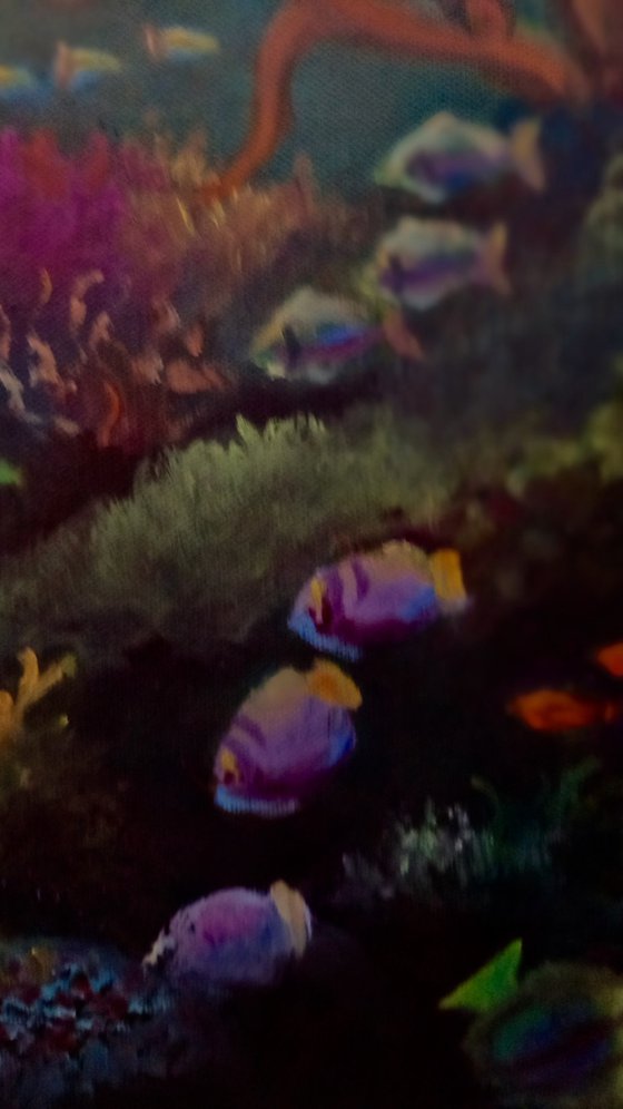 Pacific Reef