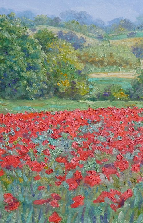 Field of poppies in Tuscany by Claudio Ciardi