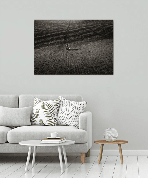 Telluric Fields II.