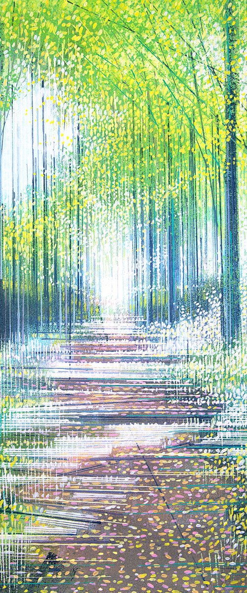Summer Woodland Path by Marc Todd