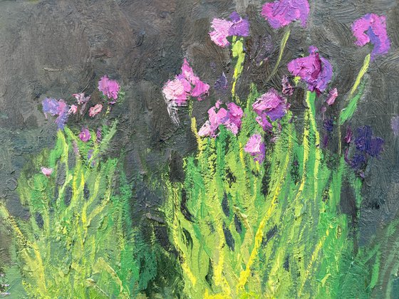 Water Lilies and Irises