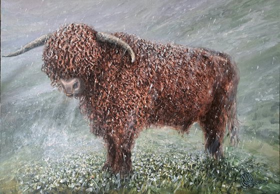 Winter Highlander