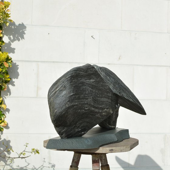 "Particular Insight"