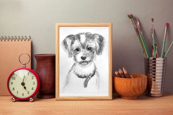 BiewerTerrier Pet Dog sketch