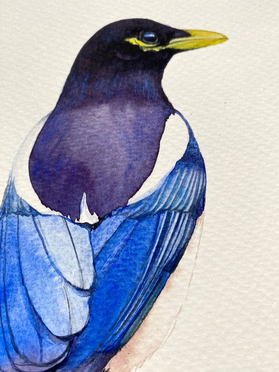 Magpie-the rainbow bird with watercolor magic in artistic realism