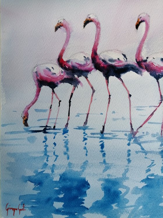 flamingos 4