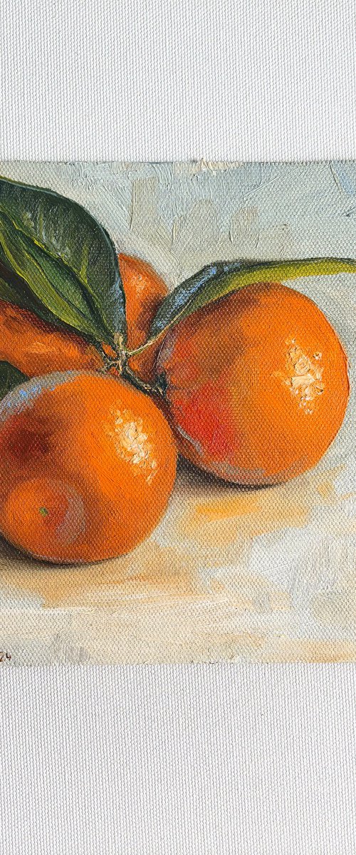 Clementine fruit still life by Leyla Demir