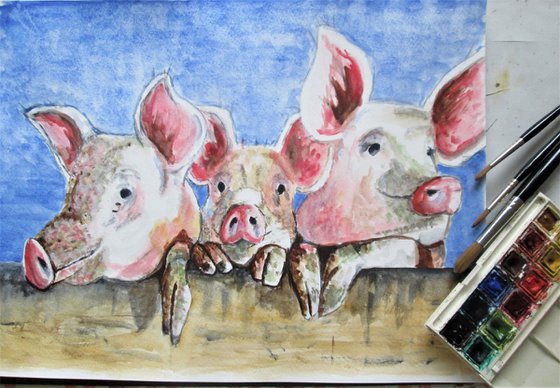 Three Little Pigs