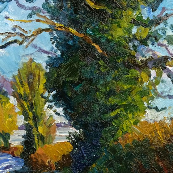 A Bright Winter's Day