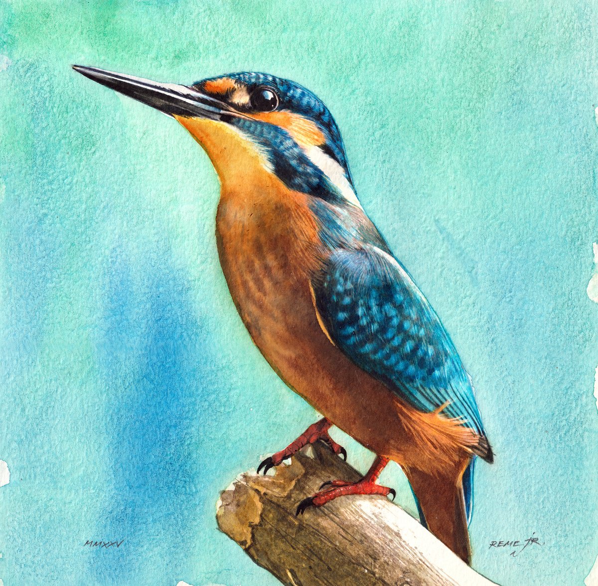 Photorealistic Animal Watercolour By Reme Jr., 10 X 10", Kingfisher Iii, Original Artwork