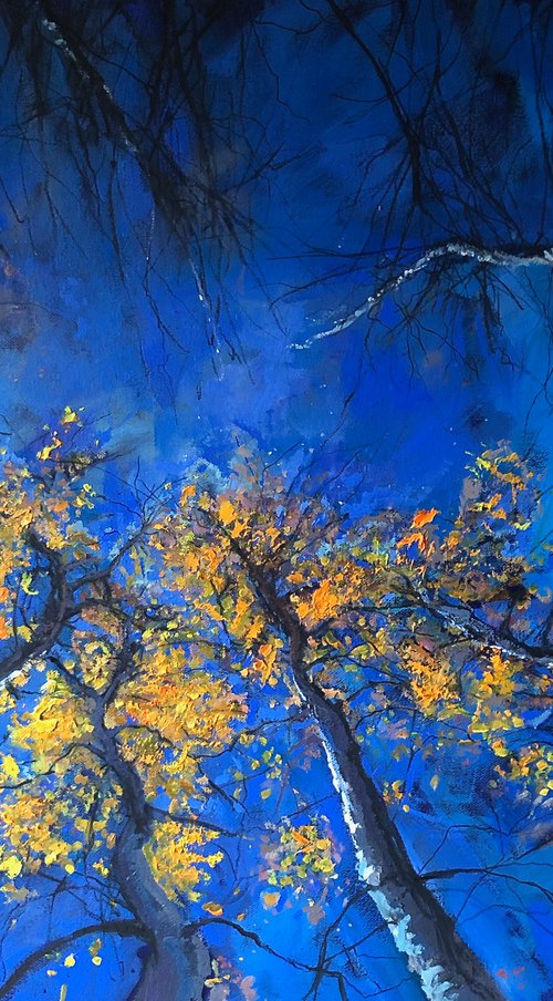 Into The Sky by Simon Jones