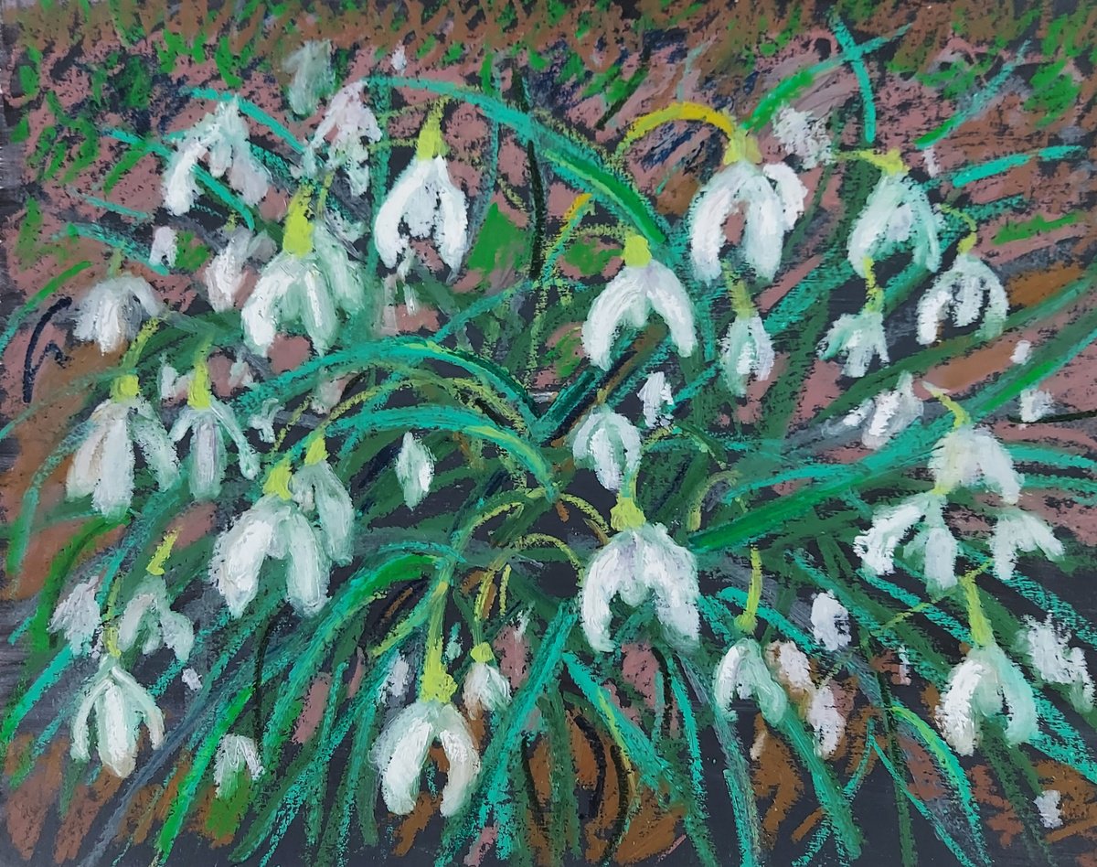 Impressionistic Botanical Pastel Drawing By Olena Kolotova, 13 X 9", Flowers "Snowdrops", Original Artwork