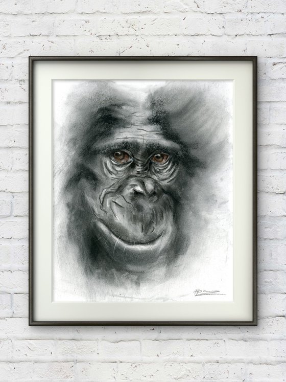 Monkey