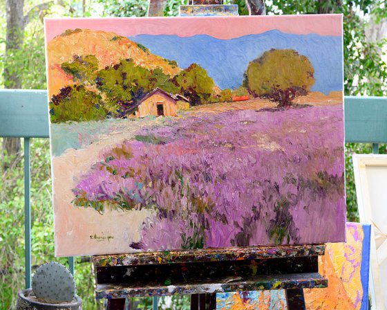 Lavender and Farmhouses