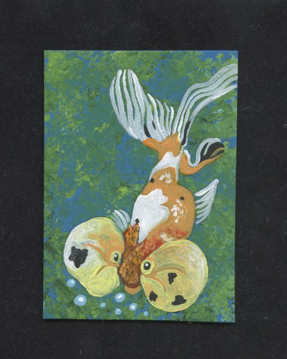 ACEO ATC Original Miniature Painting Bubble Eye Goldfish Pet Art-Carla Smale