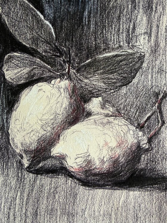 Two Lemons, Quiet Chiaroscuro
