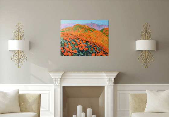 California Poppies on the Mountains