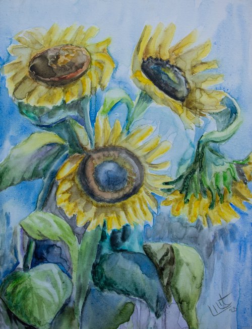 Sunflowers by Lilit Vardanyan