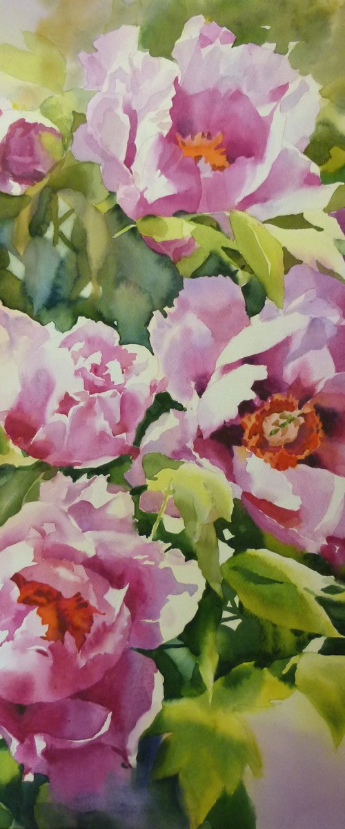 PINK PEONIES#4 by Yurii Pashkov