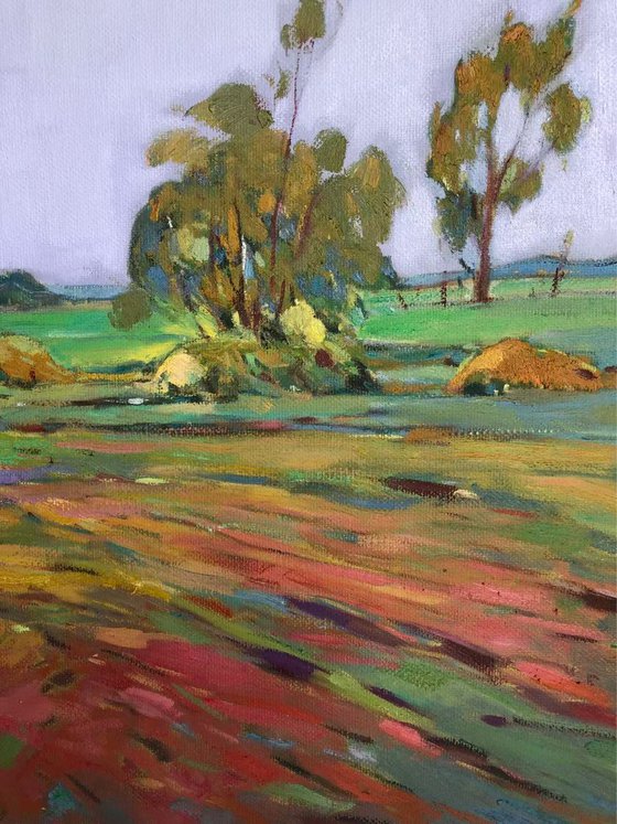 Spring farm km010