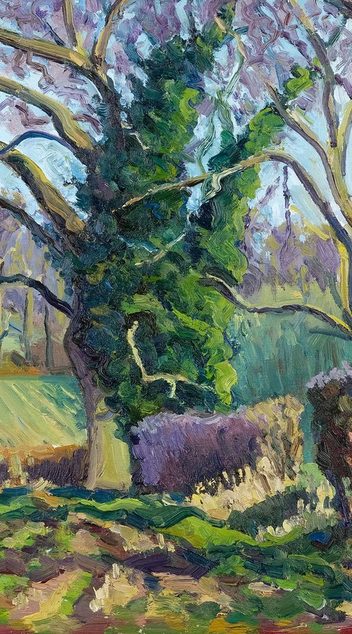 Terrington Trees, February by Jeff Parker