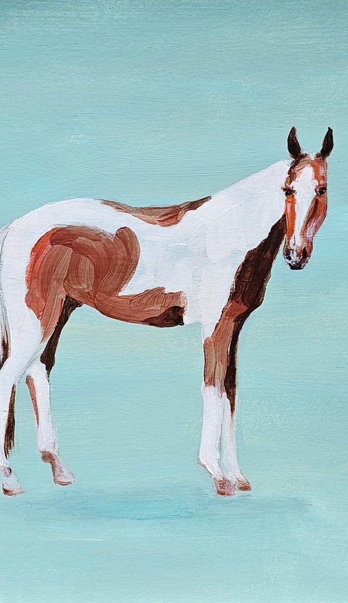 Pinto horse on aqua blue by Ksenia June