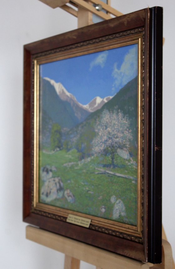 Apple blossom in gorge