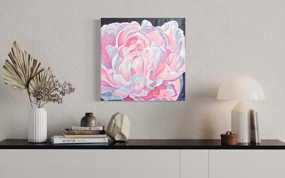 Pink peony