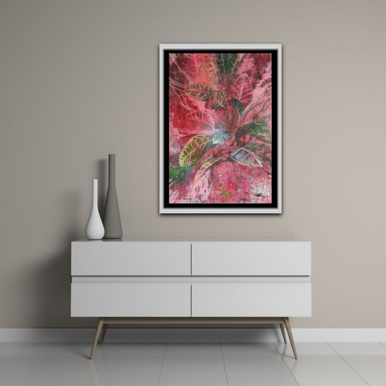 Croton