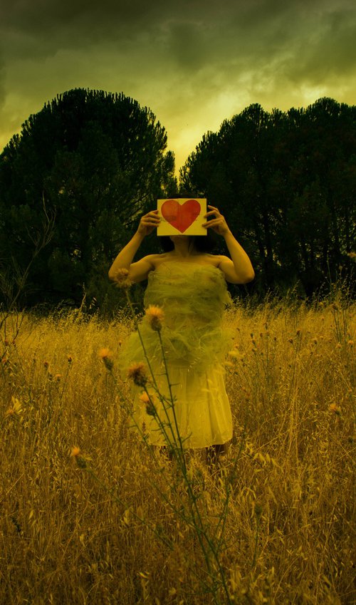 The book of love (Framed) by Viet Ha Tran