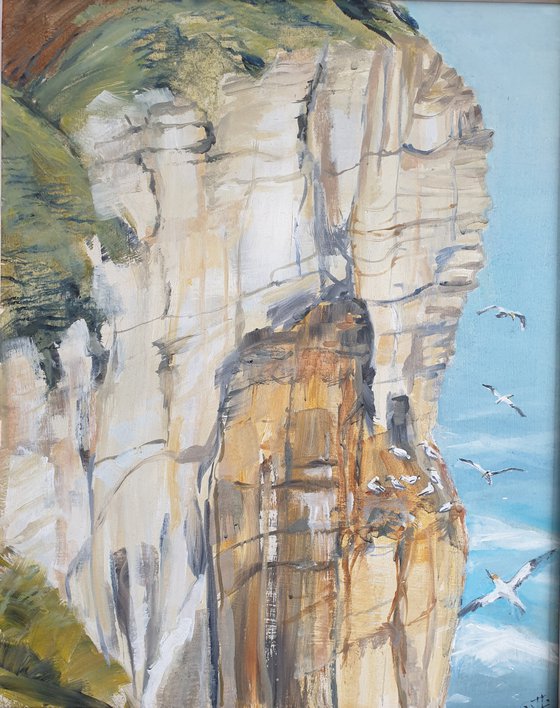Bempton Cliffs near Flamborough Head