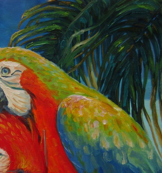 Macaw Parrots "Hello Honey, I am back home!"