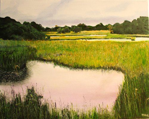 The Marshlands by Ken Vrana