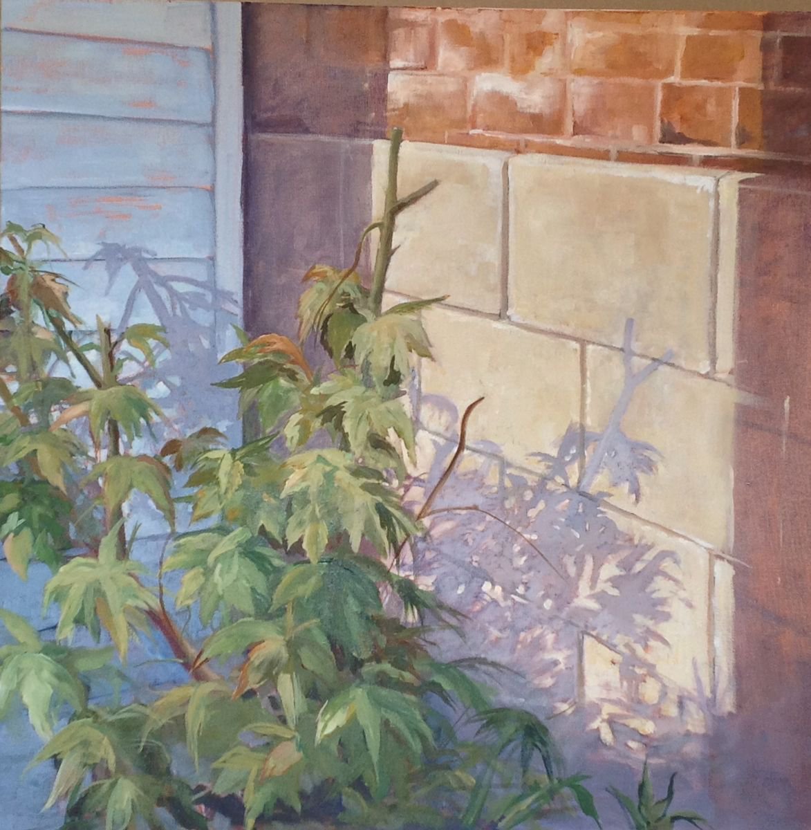 A PLACE FOR FAIRIES - THE BOTTOM OF MY GARDEN? by Podi Lawrence